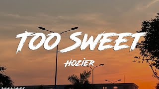 Hozier  Too Sweet Lyrics [upl. by Florella]