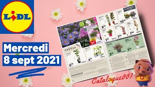 ARRIVAGE LIDL PLANTES amp FLEURS  8 SEPTEMBRE 2021 [upl. by Ikim]