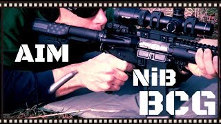 Aim Surplus NiB AR15 Bolt Carrier Group Review HD [upl. by Pedaiah92]