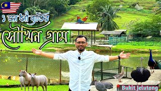 সখ করে এই গ্রামটি নির্মান করা হয়েছে।। Bukit Jelutong Eko Park [upl. by Rolo291]