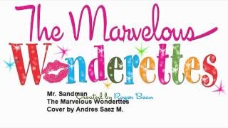 The Marvelous Wonderettes  Mr Sandman Cover by Me [upl. by Yanetruoc]