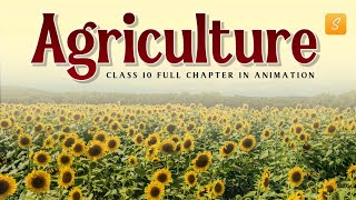 Agriculture class 10 full chapter Animation  class 10 geography chapter 4  CBSE  NCERT [upl. by Ademla]