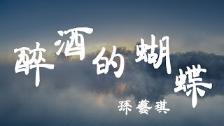 醉酒的蝴蝶  孫藝琪  『超高无损音質』【動態歌詞Lyrics】 [upl. by Cornelie]