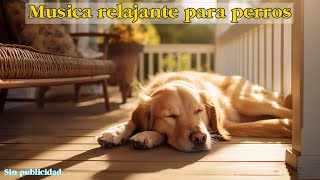 COMO DORMIR PERROS EN 5 MINUTOS Tranquilo y Profundo🐶 Música para DEJAR PERROS SOLOS EN CASA [upl. by Areivax]