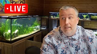 3 New Products at Aquarium CoOp Shopping Channel Live Stream [upl. by Okia142]