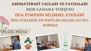 VLOG No 14  AROMATERAPİ  MOR LAHANA TURŞUSU  DUALARIN GÜCÜ  WORDLE OYUNU [upl. by Neddy]