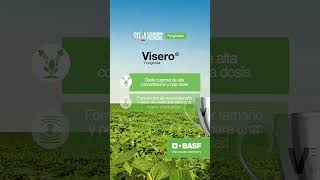 BASF  Fungicidas Visero [upl. by York]