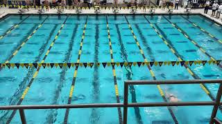 Mens 200 Back Heat 1 vs Navy [upl. by Judson407]