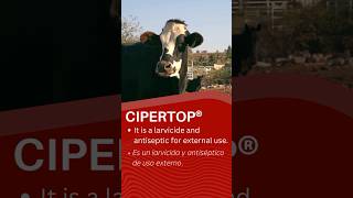 CIPERTOP LARVICIDA Y ANTISEPTICO [upl. by Ilbert]