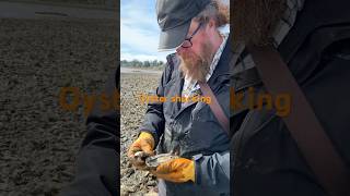 Shucking and frying oysters [upl. by Ardnua501]