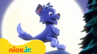 Patrulha Canina  Lobislhotes e Mistérios de Monstros  Nick Jr em Português [upl. by Ecirtram]