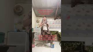 Cara Supaya Cepat Di Monet subscribe semuaorang comedy lucu funnyshorts funnyvideo [upl. by Aiekat]