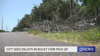 Corpus Christi residents experience pickup delays for large brush bulky items [upl. by Angi421]