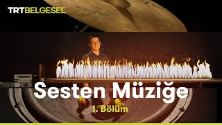 Sesten Müziğe  Ses Nedir  TRT Belgesel [upl. by Gefen391]