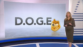 What is DOGE and how much power will it have [upl. by Susanetta]