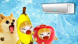 Air Conditioner Madness Banana Cats Frosty Fiasco 🐱 Baby Banana Cat Compilation  Cat MEME 😿 [upl. by Atneciv446]