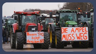 Deshalb protestieren Bauern und andere gerade [upl. by Nnoj]