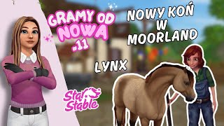 NOWY KOŃ W MOORLAND🐴 Gramy od nowa 11 [upl. by Lytsirk]