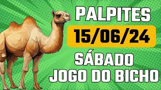 Palpites para Ganhar Hoje 15062024 JOGO DO BICHO  Todas Loterias [upl. by Ettenuj]