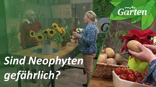 Neophyten Gefahren und Tipps vom Biologen  MDR Garten [upl. by Moe411]