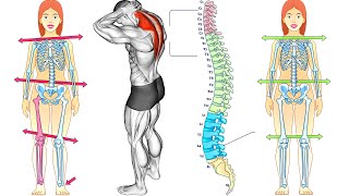 Do This Every Day to Improve Your Posture [upl. by Ramoj]