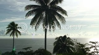 Loungemusik  Gitarren Musik Harmonie Wellness amp Paradies  OCEAN LOUNGE [upl. by Ovatsug]