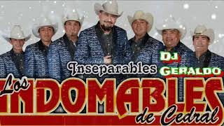 Los Indomables De Cedral 2018  Mix Edicion Especial [upl. by Kelsi]