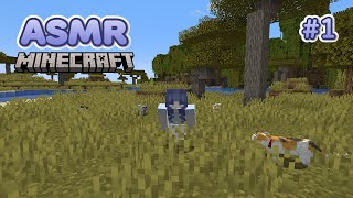 Minecraft ASMR  Exploring Whispered  Rambles [upl. by Remmus]