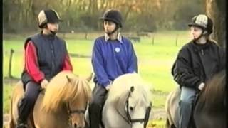 Shetland Ponies Grand National [upl. by Ariaz542]