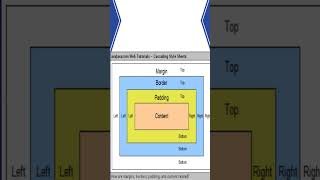 CSS Box Model Explained  Complete Guide for Beginners [upl. by Sissy]