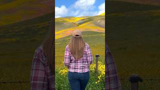 Carrizo Plain National Monument [upl. by Adella]