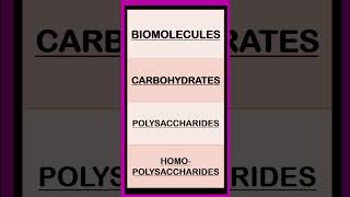 Carbohydrates Biomolecules Biochemistry shorts  Monosaccharides Disaccharides Polysaccharides [upl. by Nnylirej]