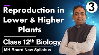 Reproduction in Lower and Higher Plants Class 12th Biology Part 3 [upl. by Trella]