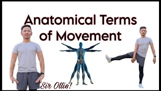 Anatomical Terms of Movement [upl. by Nairrad]