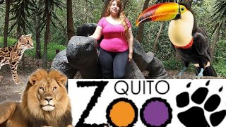 el zoológico de guayllabambaquito ecuador [upl. by Kaczer339]