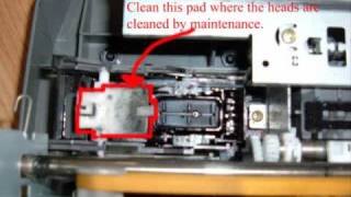 Fix Epson Printer Ink Problem [upl. by Ahsiuqal]