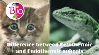 Difference between Ectothermic and Endothermic animals by Simply The Best BIO [upl. by Milone382]