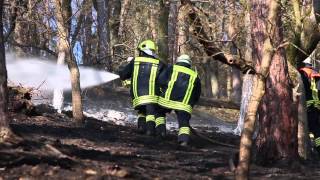 200000 Quadratmeter Wald bei Bad Schwalbach in Flammen [upl. by Adley]