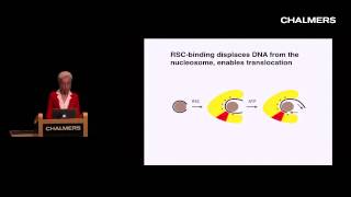 Yahli Lorch Chromatin remodeling [upl. by Nellad]