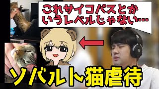 「ソバルト 猫虐待」動画を見るゆゆうた【20220809】【ゆゆうた 切り抜き】 [upl. by Enilrek]