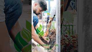 Prassthanam  Tree Plantation  Save the Nature  treeplantation tree nature shorts shortvideo [upl. by Seafowl]