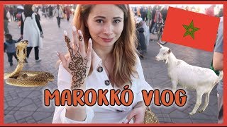 Marokkó VLOG  Kecskék és kígyóbűvölők  Viszkok Fruzsi [upl. by Nolahc]