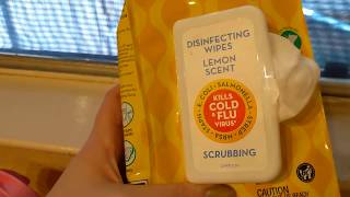 Critic Review  Kirkland Disinfecting Wipes [upl. by Eberly455]