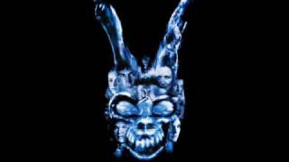 Donnie Darko Soundtrack Cellar Door [upl. by Hepsoj]