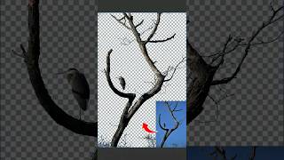 One POWERFUL Photoshop Cut Out Techniques  Photoshop Tutorial [upl. by Petite]