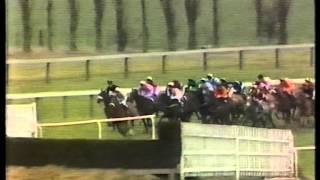 1984 Schweppes Gold Trophy Handicap Hurdle [upl. by Lynna]