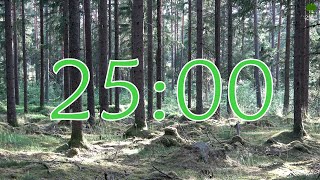 25 Minute Countdown timer with alarm  Nature background with relaxing birdsong  Remote Pine Forest [upl. by Sirromed]