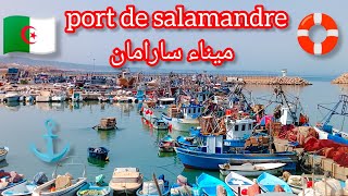 مستغانم ميناء سارامان وبرد الحال port de mostaganem salamandre [upl. by Merton]