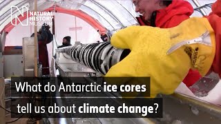 What Antarctic ice cores tell us about climate change  Natural History Museum [upl. by Nahtanhoj387]