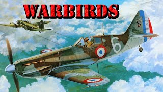 Warbirds Dewoitine D520 [upl. by Cahra]